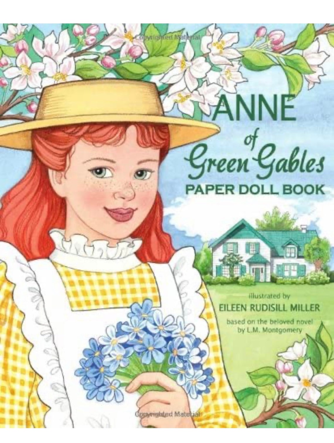 Anne of Green Gables Paper Doll - Etsy