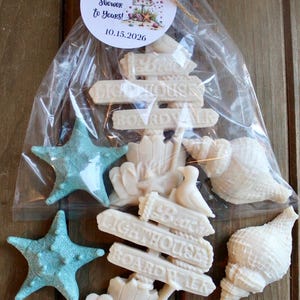 May include: A clear plastic bag containing white and light blue seashell-shaped soaps and two white soap signs labeled Beach, Lighthouse, and Boardwalk. A round white tag tied with twine reads From Emma's Shower to Yours! and 10.15.2026.