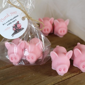 May include: Several small, light pink pig-shaped soaps, with two inside a clear plastic bag tied with twine. A round white tag attached to the bag features a cartoon pig illustration and the text, Thank you for celebrating with me! ~Millie.