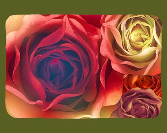 Rainbow rose blanket