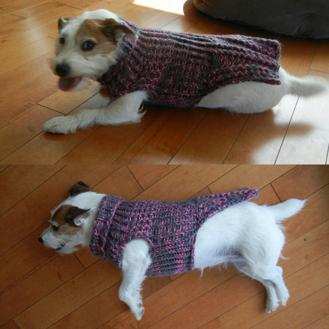Gray and Pink Small Long Dog Sweater, Hand Loom Knit, Turtleneck Option