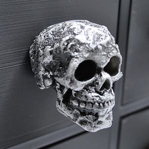 May include: A silver skull drawer pull with a detailed, textured surface. The skull has a realistic design with a prominent jawline and teeth.