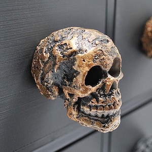May include: A black and gold skull-shaped drawer pull. The skull is detailed with a textured surface and has a gold finish.