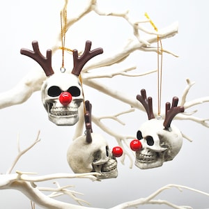May include: Three skull ornaments with brown antlers and red noses hang from a white tree branch. The skull ornaments have a festive, yet spooky, appearance. The ornaments are suspended by gold strings.