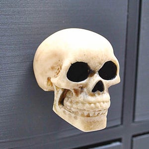 May include: A white ceramic skull drawer pull with black eye sockets.