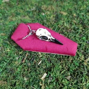 Raven Skull Necklace, Crow Skull Necklace, Bird Skull Jewelry, Halloween Costume, Gothic Accessories, Plague Doctor