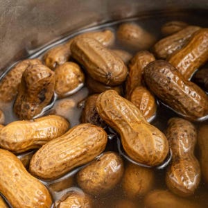 May include: Close-up of boiled peanuts in a stainless steel pot. The peanuts are a light brown color and partially submerged in a clear, slightly murky liquid. The image highlights the texture and shape of the peanuts.