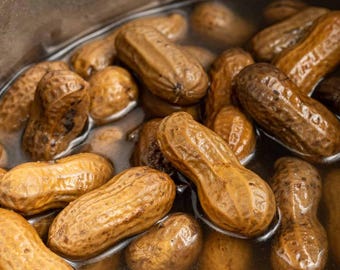 Simple Southern Snack - Boil-The-Bag Peanuts - Boiled Peanuts Kit [2 Bags]