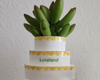 Lakeland, Florida Cake Tower Planter for Small Indoor Plants and Succulents.