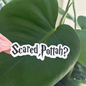 May include: A white sticker with black text that reads "Scared Pottah?" in a stylized font. The sticker is held in front of a large green leaf.