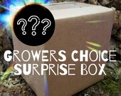 Growers Choice Surprise Box - Air Plants, Air Plant Variety Pack, Tillandsia, Air Plant, Indoor Plant, House Plant, Terrarium Plant