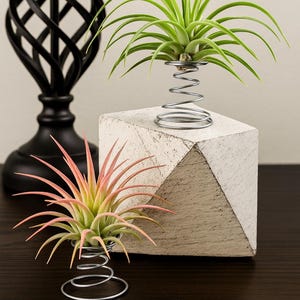 marcrame plant hanger Juno Macrame Plant Hangers (set of 4)