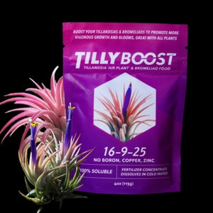 Best Air Plant Food 2 Year+ Supply - Tilly Boost 4oz Air Plant Fertilizer, Plant Food, Bromeliad Food, Bromeliad Fertilizer, Tillandsia