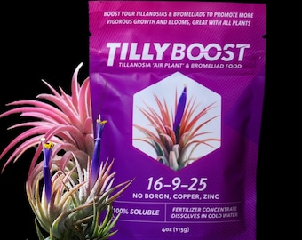 Best Air Plant Food 2 Year+ Supply - Tilly Boost 4oz Air Plant Fertilizer, Plant Food, Bromeliad Food, Bromeliad Fertilizer, Tillandsia