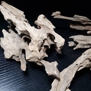 May include: A collection of driftwood pieces with intricate knots and branches, perfect for adding a natural touch to home decor or crafts.