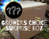Growers Choice Surprise Box - Air Plants, Air Plant Variety Pack, Tillandsia, Air Plant, Indoor Plant, House Plant, Terrarium Plant