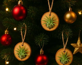 Hanging Air Plant Ornament | 2-Inch Wood Slice | Optional Live Air Plant | Natural Christmas Ornament | Tillandsia Gift | Rustic Holiday Dec