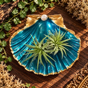 May include: A decorative seashell dish featuring a glossy teal interior with a metallic gold rim and a single white pearl accent at the top. Two green air plants are positioned in the center of the shell, which serves as a holder.