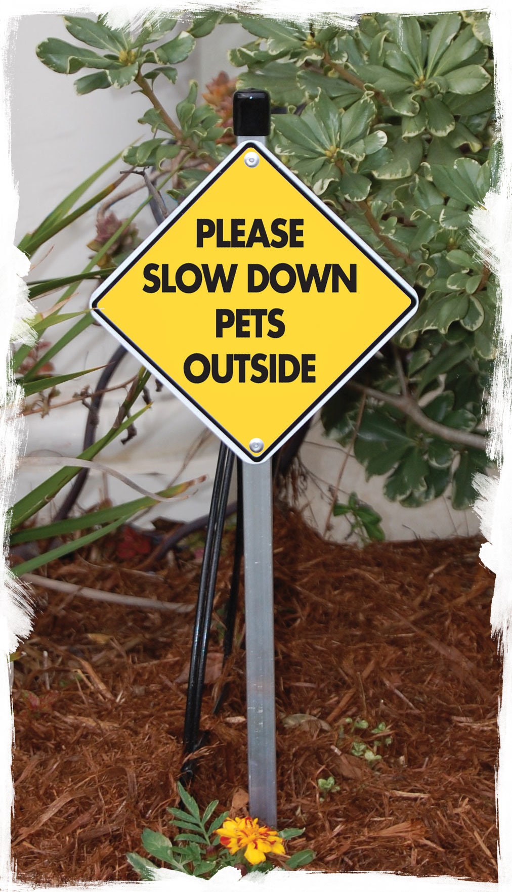 Caution! Please Slow Down Pets Outside Aluminum Dog Sign or Vinyl ...