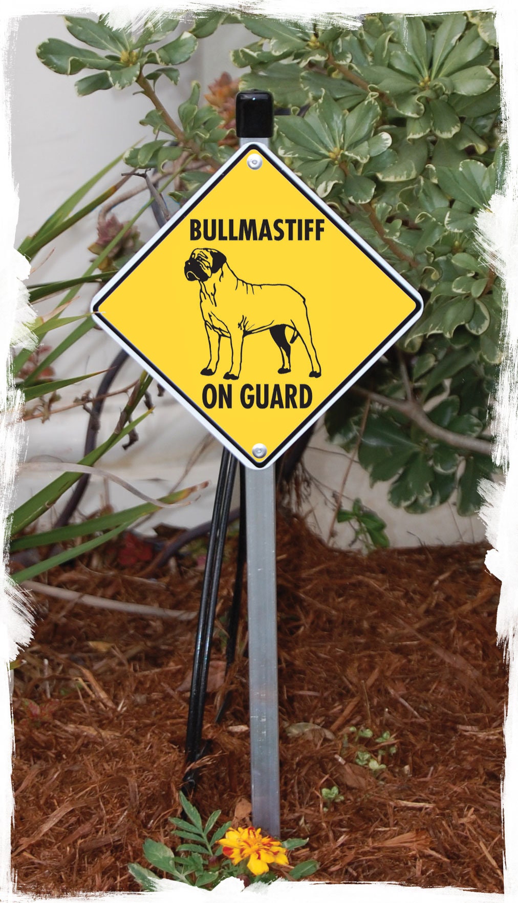 Warning Labrador On Guard Aluminum Dog Sign and Sticker 