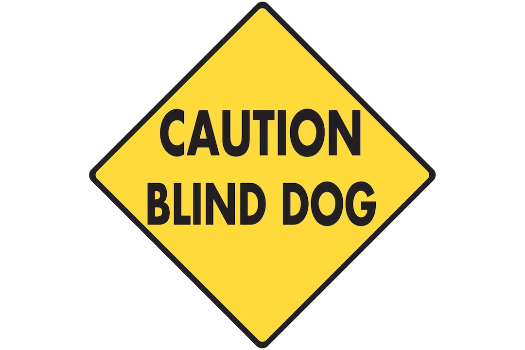 Cartello In Latta Vintage "Caution! Blind Dog Crossing" – Segnale Di Sicurezza E Decorazione Retrò, 20x30 Cm