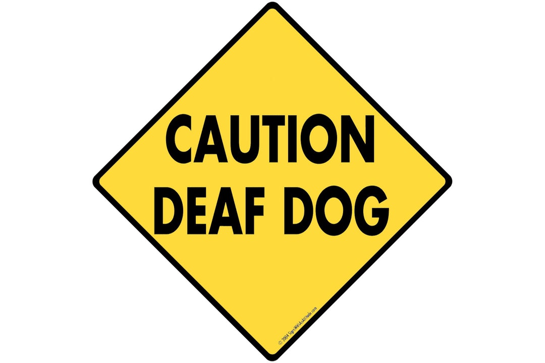 2 Pack No Dumping Sign, 12 X 18 Inch Rust