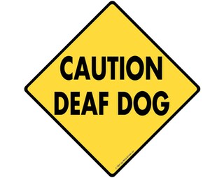 Cartello In Latta Vintage "Caution! Blind Dog Crossing" – Segnale Di Sicurezza E Decorazione Retrò, 20x30 Cm