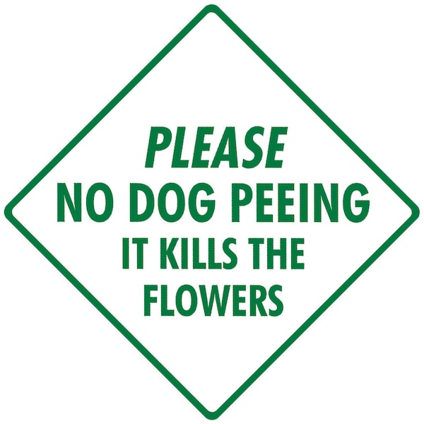 Dog Urine Kills Plants Etsy