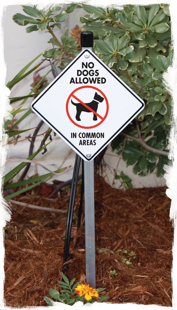NO DOGS ALLOWED aluminum sign NO DOGS ALLOWED aluminum sign