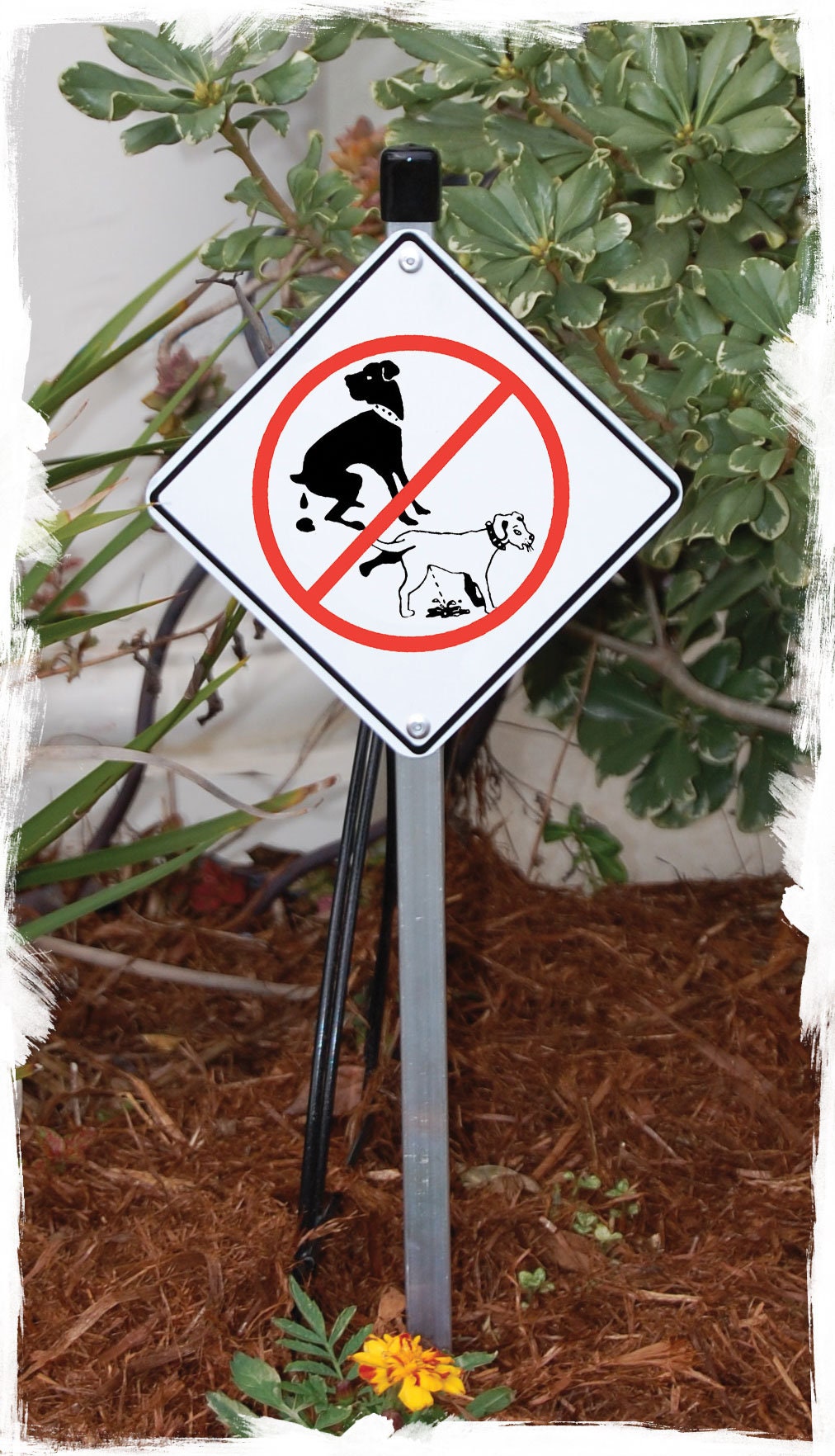 Yard Signs - Green: Patio, Lawn & Garden