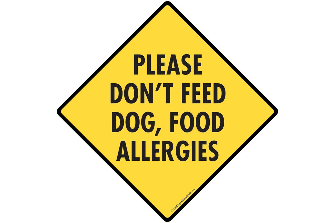 Please Do Not Feed Dog, Food Allergies Aluminum Dog Sign or Vinyl