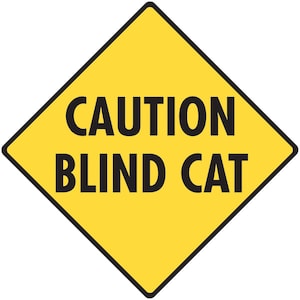 May include: A yellow diamond-shaped warning sign with black text that reads "CAUTION BLIND CAT".