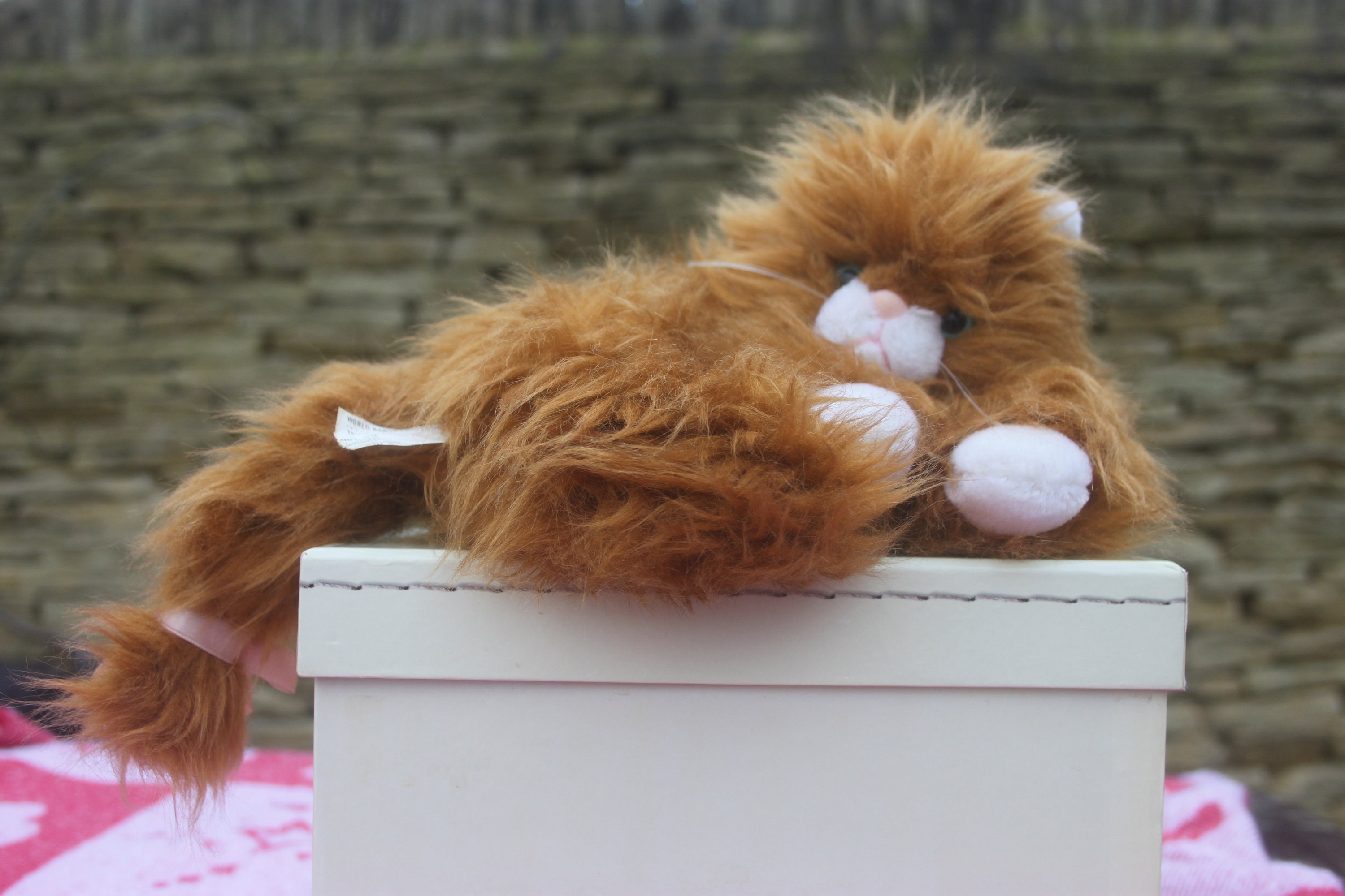 Ginger cat toy argos hot sale