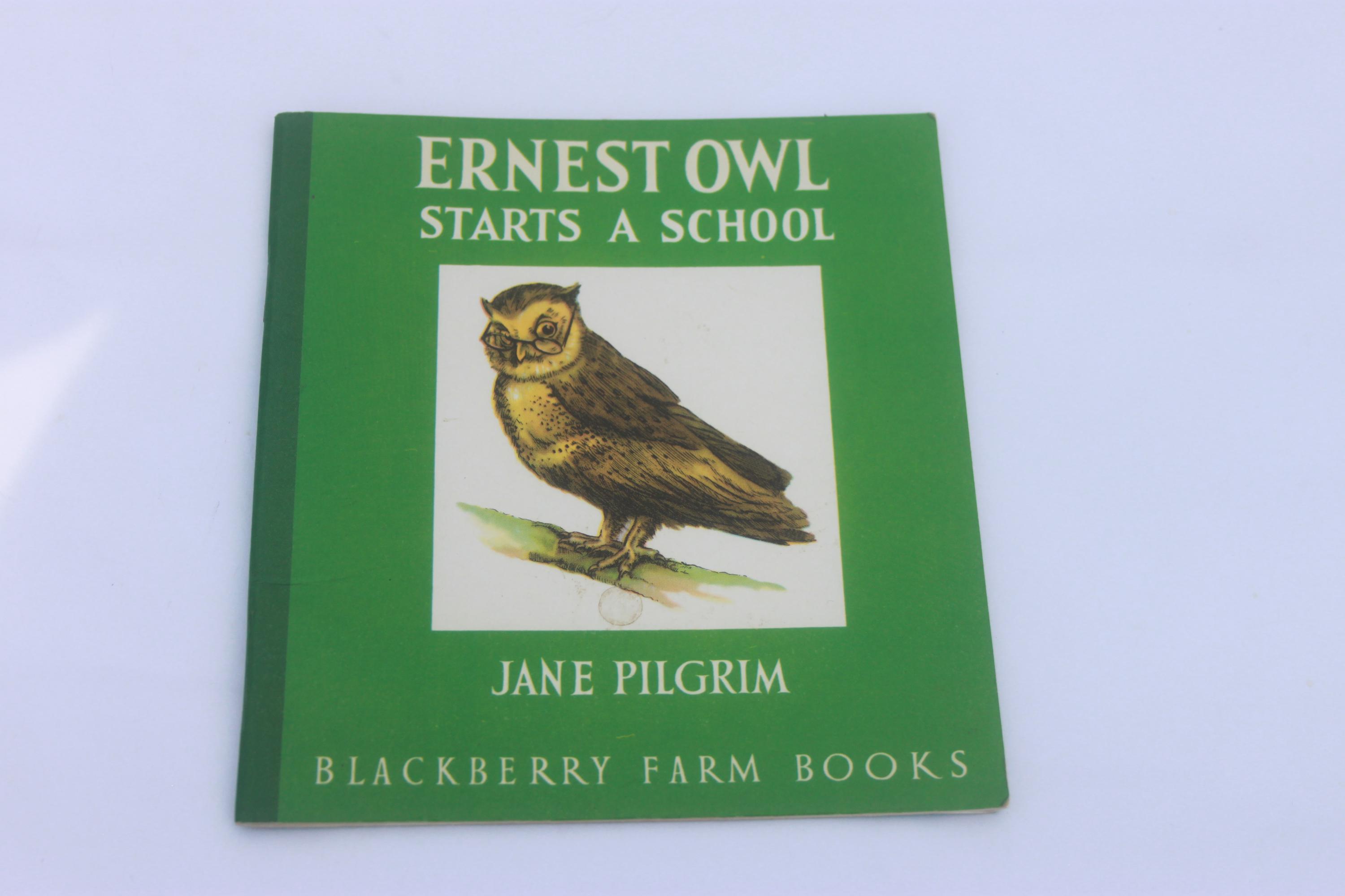 Vintage child's picture book Ernest Owl Starts A school Jane Pilgrim Blackberry Farm, children&#