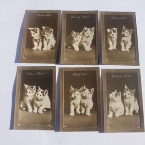 Set di 6 cartoline di gattini, mai postate, editore E J Hey, serie 9053, condizioni eccellenti, cartoline di gatti d'epoca, gattini d'epoca
