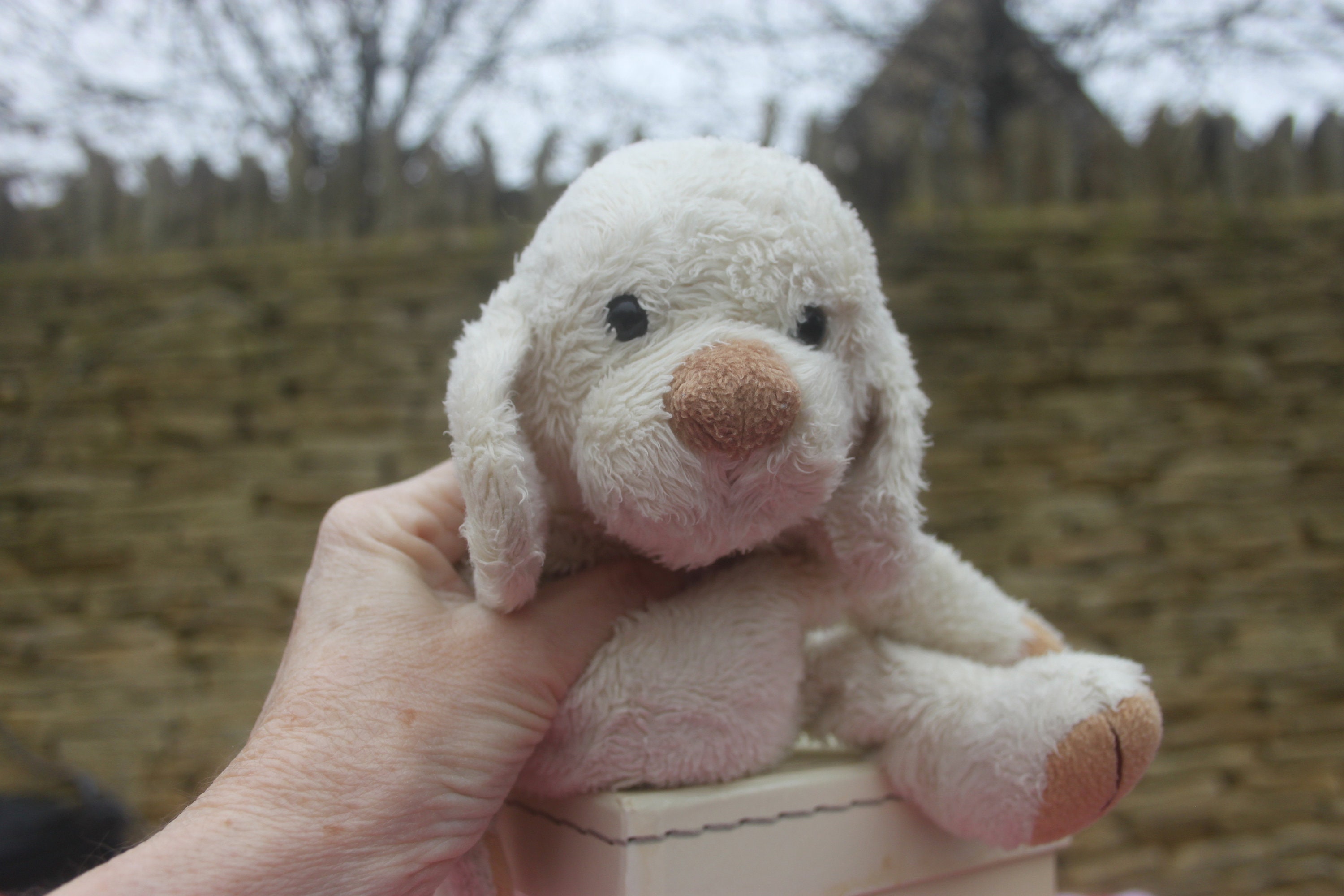 Amazon Bradipo Trudi Peluche Pupazzo Peluche Bussi Plush Beige