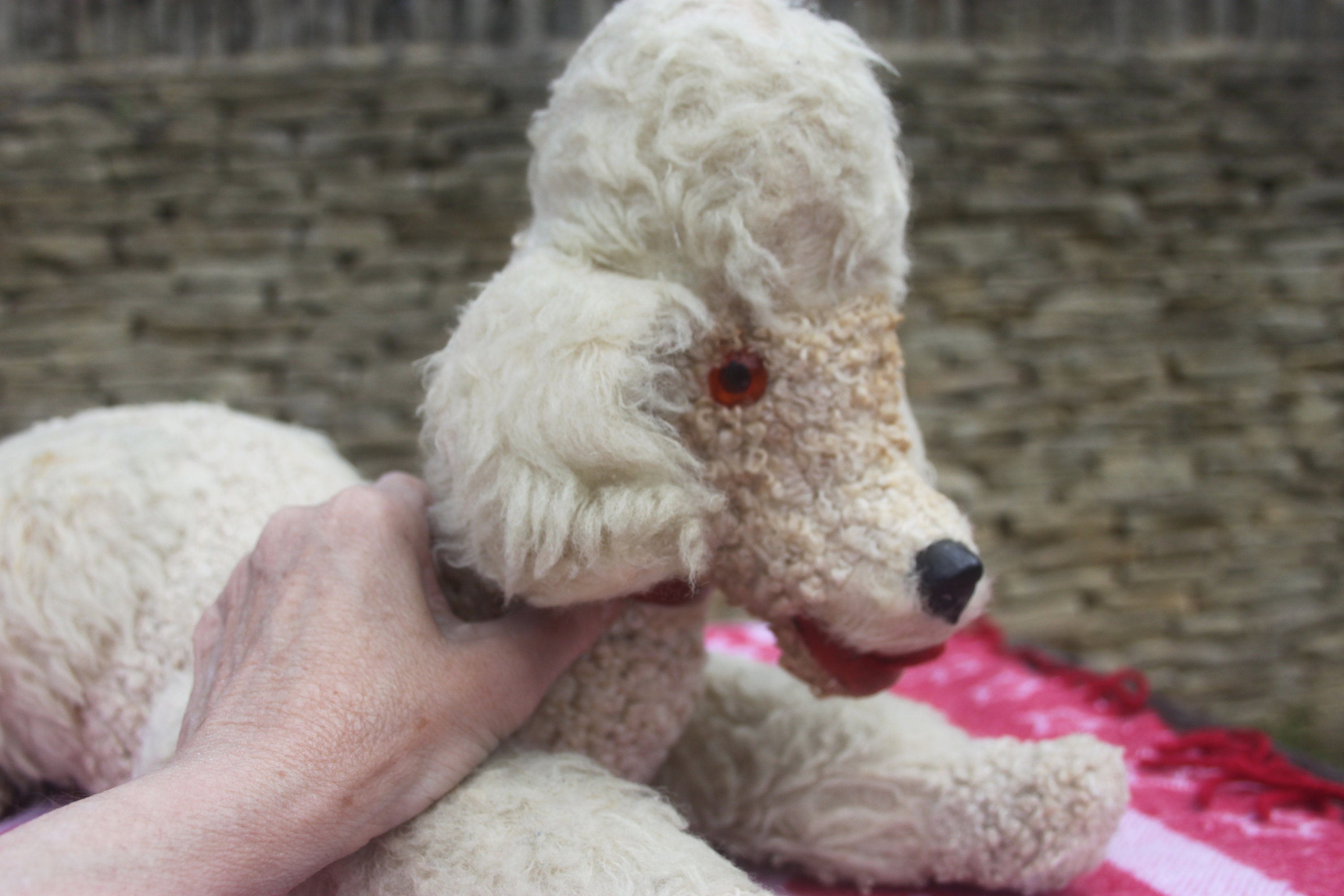 Vintage Pedigree Talking Poodle Loved and Playworn Voice Still
