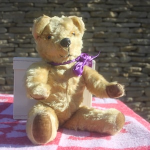 Pedigree Teddy Bear - Etsy UK