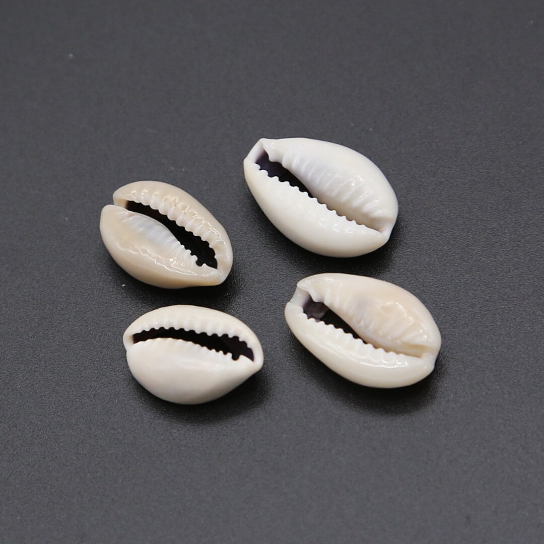 50 Cowrie Shells Shells for Art Loose Shells Sea Shell Beads - Etsy