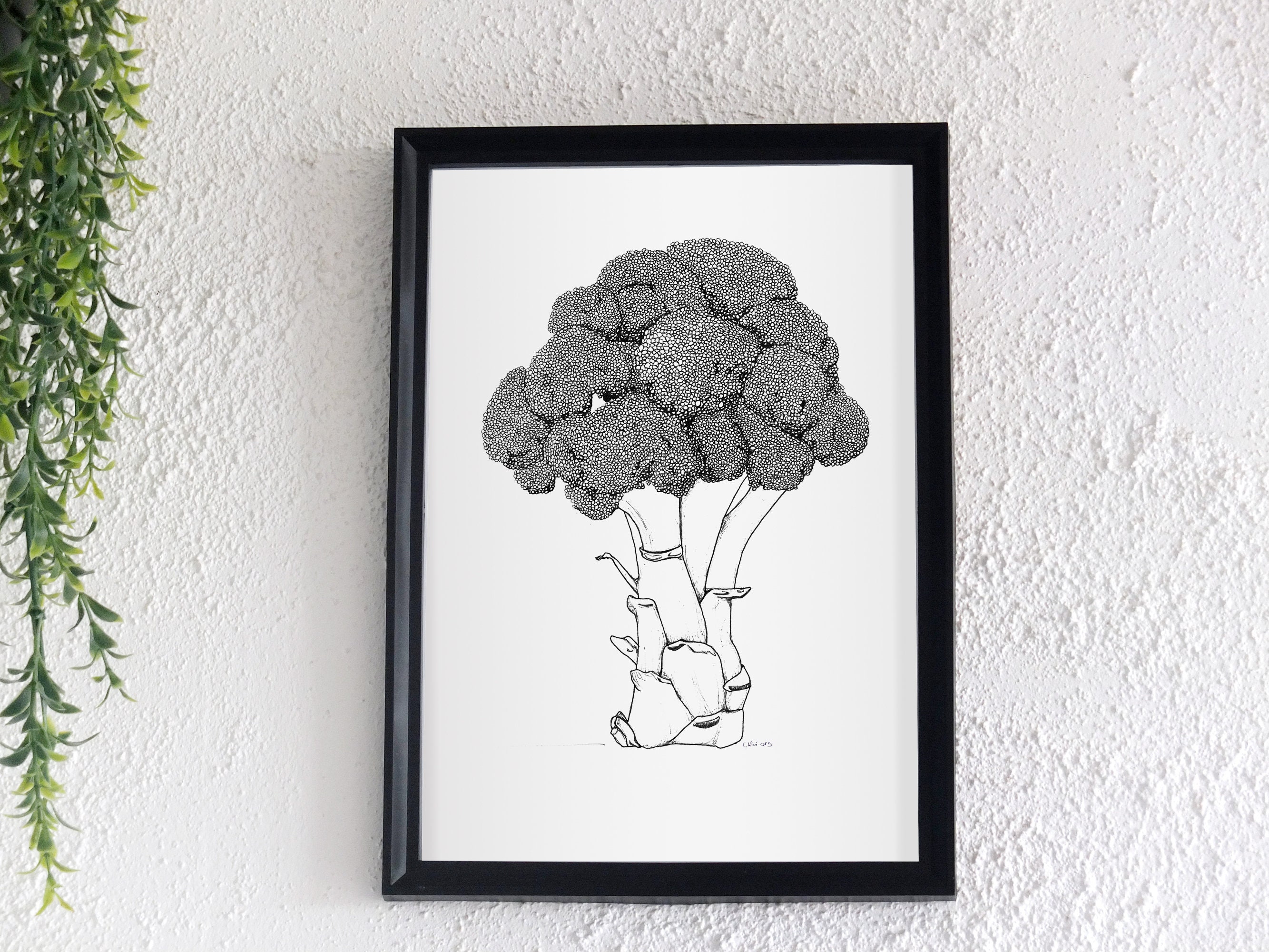 Affiche Brocoli, Dessin Noir et Blanc.