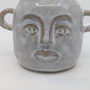 May include: A ceramic vase with a face design, featuring a light gray and brown color scheme. The vase has a round shape with two small handles and is topped with a green succulent plant. The face has detailed eyes, nose, and lips.