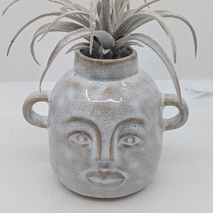 May include: A ceramic face planter with a textured, off-white finish. The planter has a round shape with two small handles and a face design. It holds a gray air plant with long, slender leaves. A decorative item.