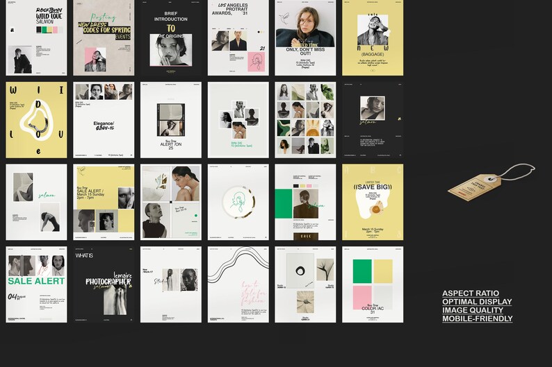 ANNA / Kit för sociala medier med Canva och InDesign bild 10