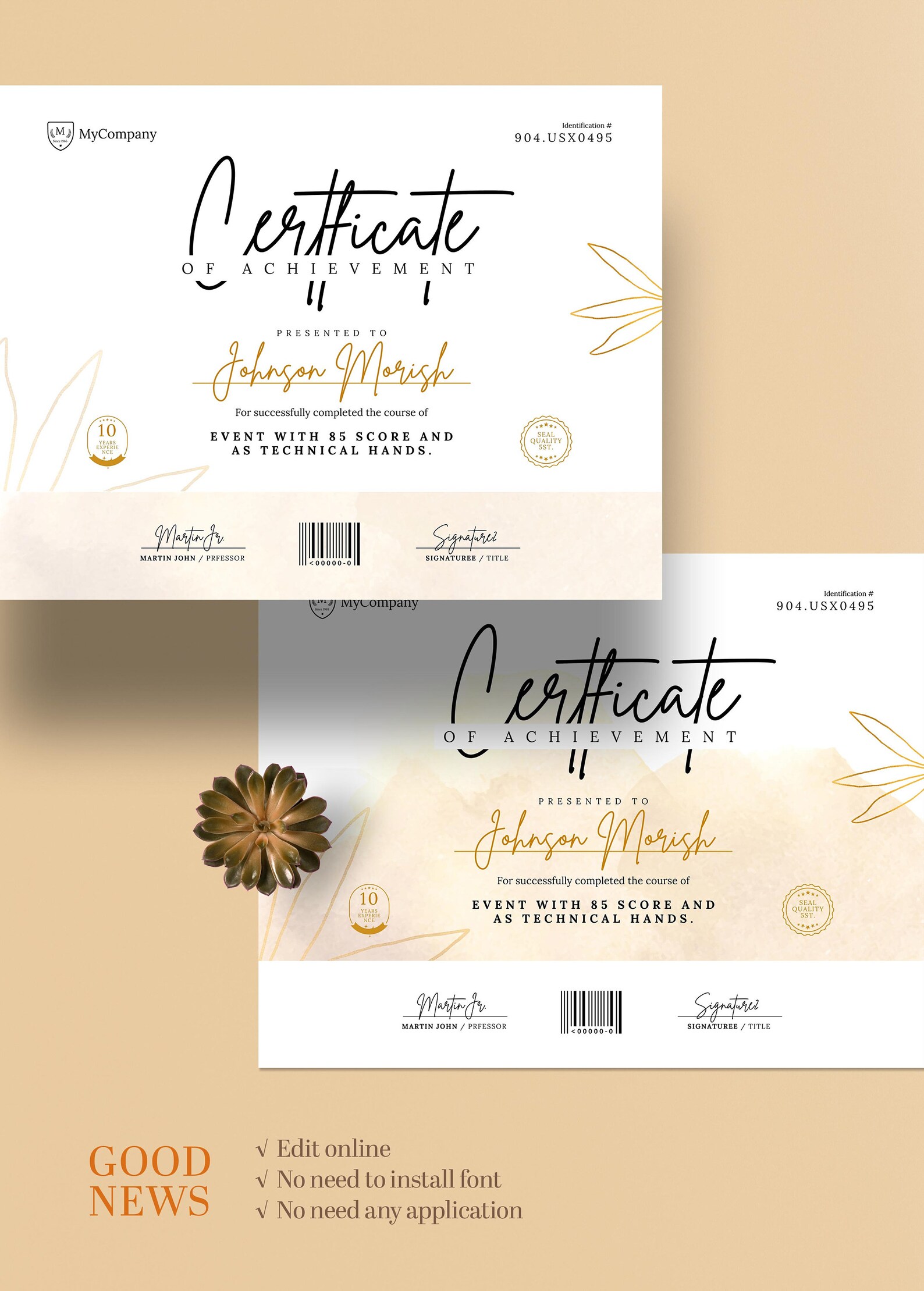 Certificate of completion canva template minimalist course etsy