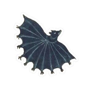 Bat Medieval Marginalia Sticker