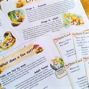 Fox Unit Study for Homeschool Printable STEM Activity for Kids Nature ...