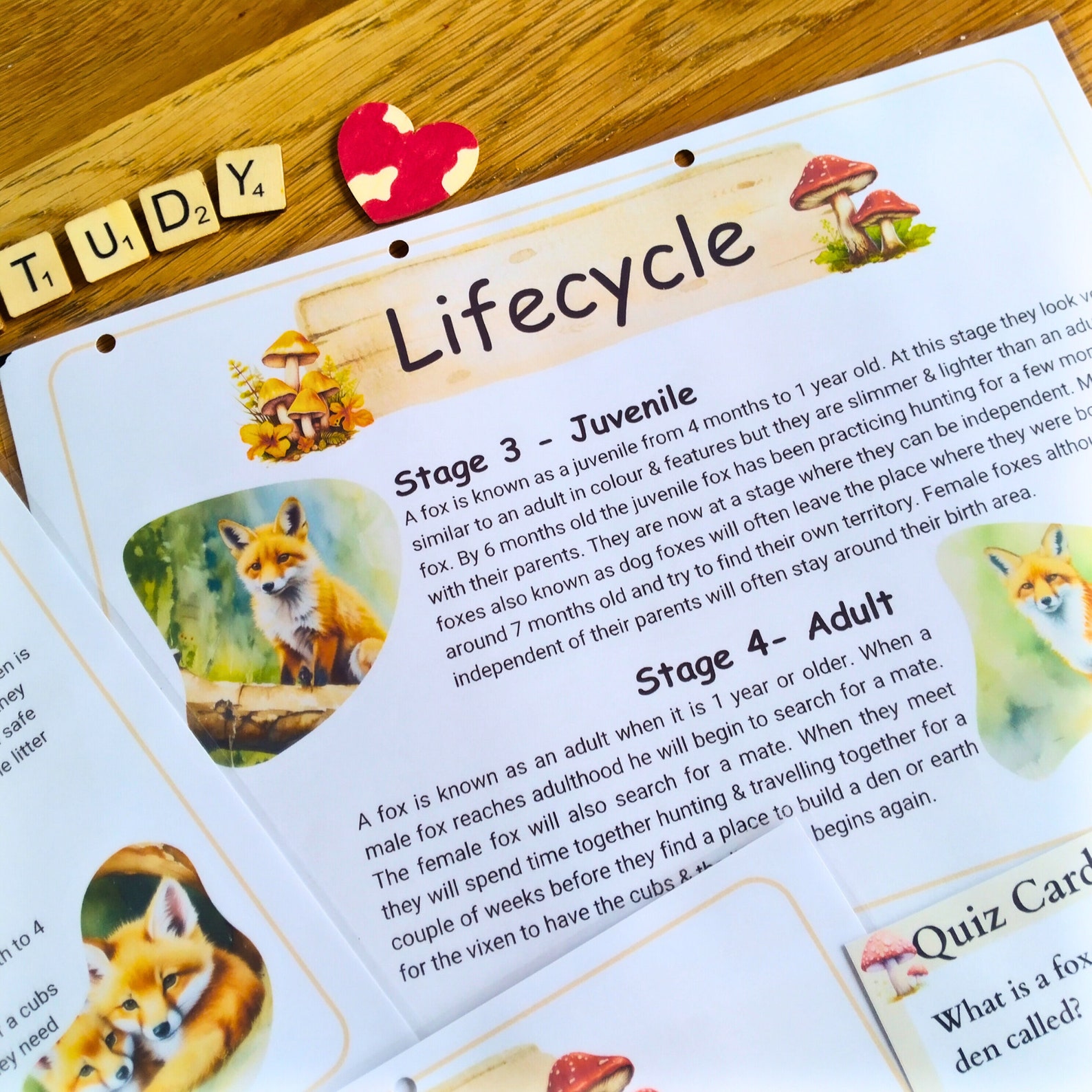 Fox Unit Study for Homeschool Printable STEM Activity for Kids Nature ...