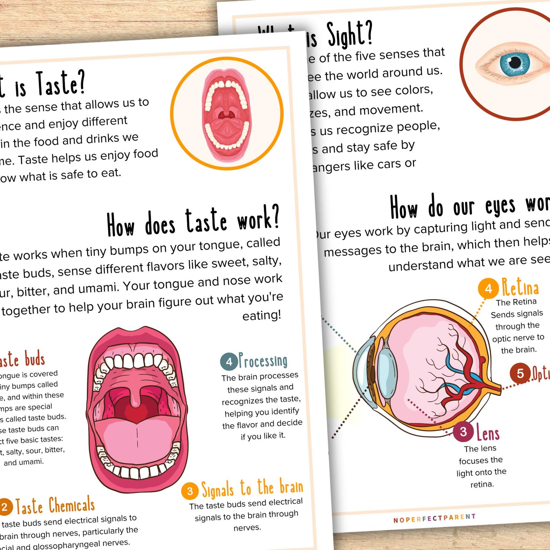 5 Senses Printable for Children Five Senses Unit Study for Homeschool ...