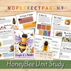 Peut inclure: Une étude sur les abeilles en format imprimable et colorée pour les enfants. L'étude comprend des informations sur le cycle de vie d'une abeille, les différents types d'abeilles et l'anatomie d'une reine des abeilles. L'étude comprend également des informations sur l'importance des abeilles pour l'environnement et la façon dont le miel est fabriqué.
