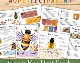 Nature Unit study for Children Lifecycle of a Honeybee Printable STEM activity for Kids Unit Studies for Spring and Summer Activities Prints